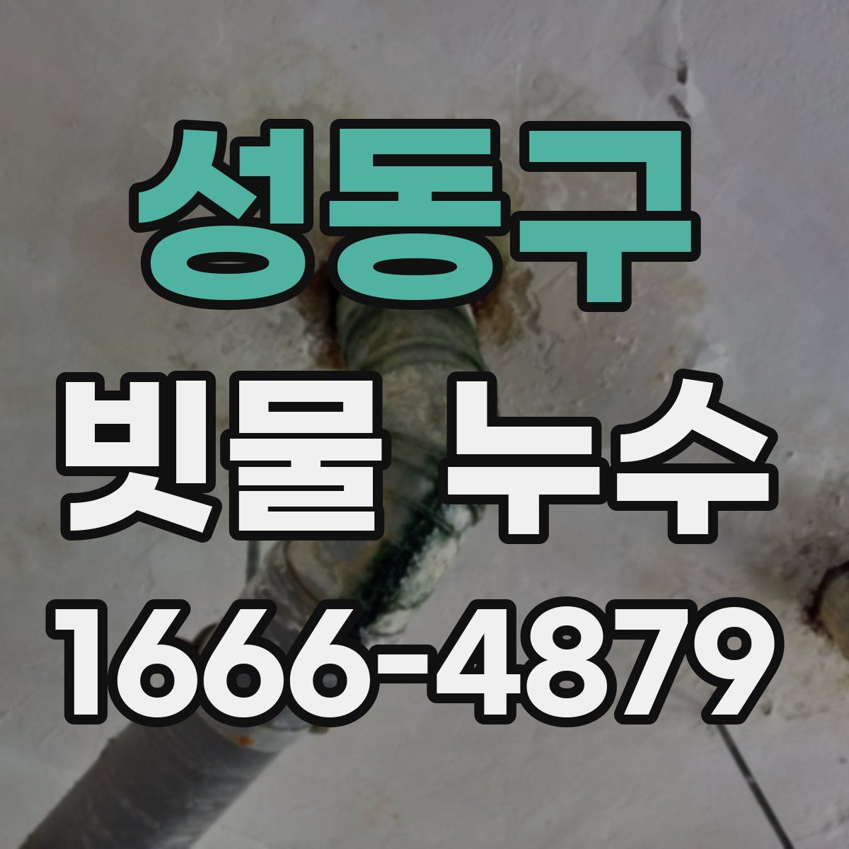 성동구 빗물 누수