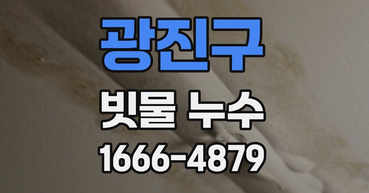 광진구 빗물 누수