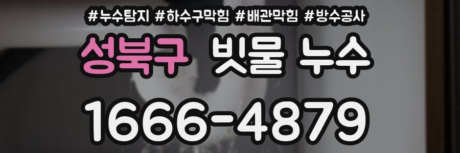 성북구 빗물 누수