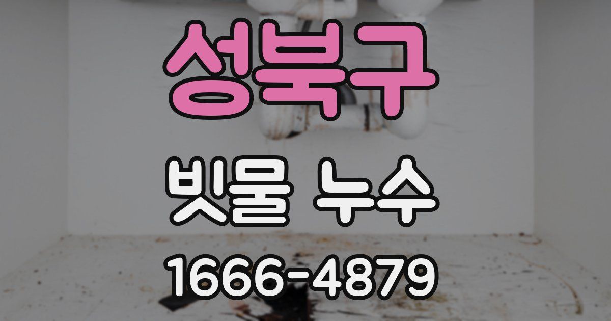 성북구 빗물 누수