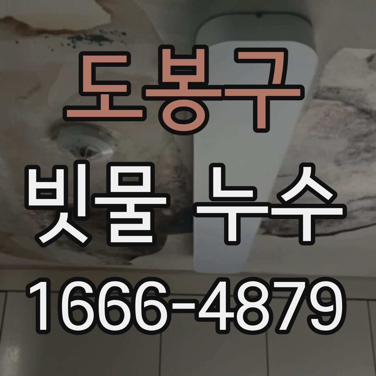 도봉구 빗물 누수