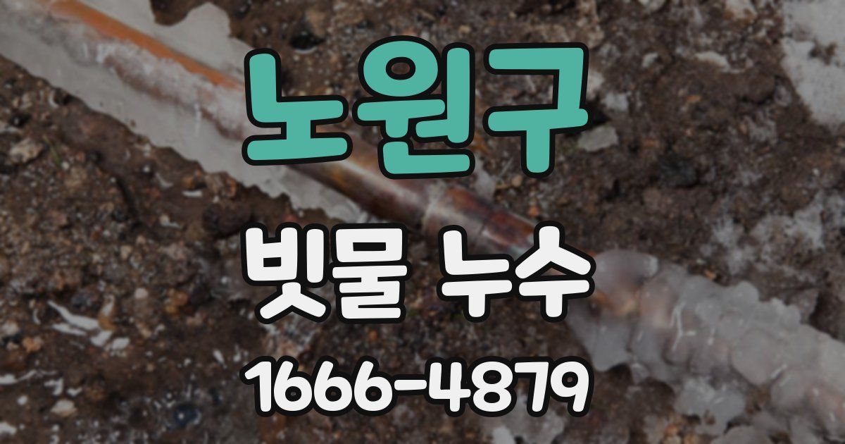 노원구 빗물 누수