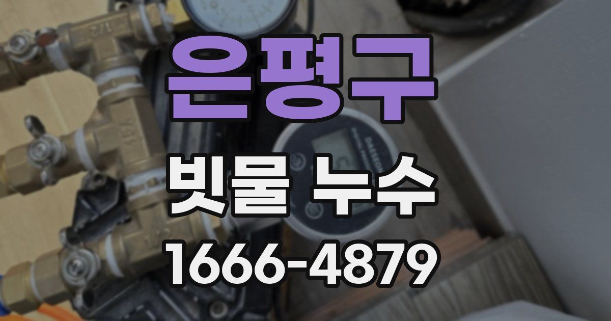 은평구 빗물 누수