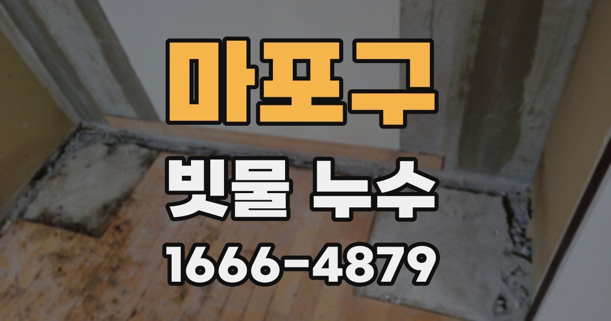 마포구 빗물 누수