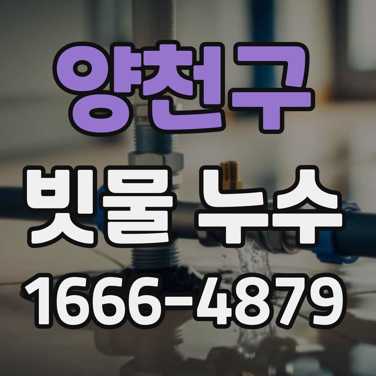 양천구 빗물 누수