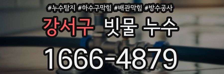 강서구 빗물 누수
