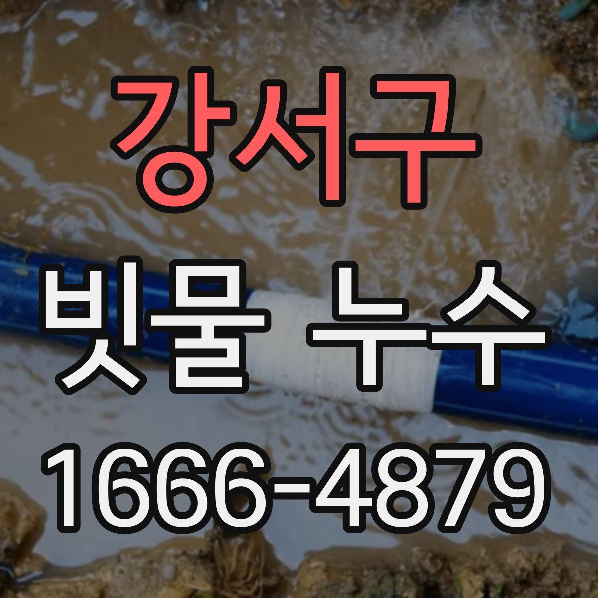 강서구 빗물 누수