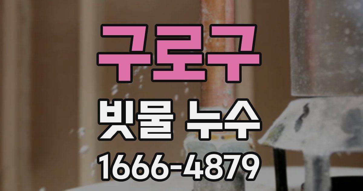 구로구 빗물 누수