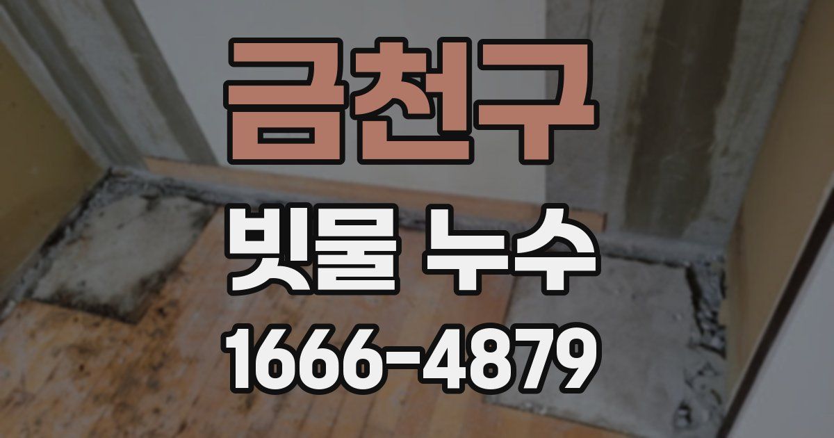 금천구 빗물 누수