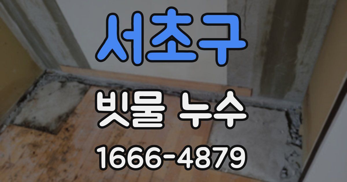 서초구 빗물 누수