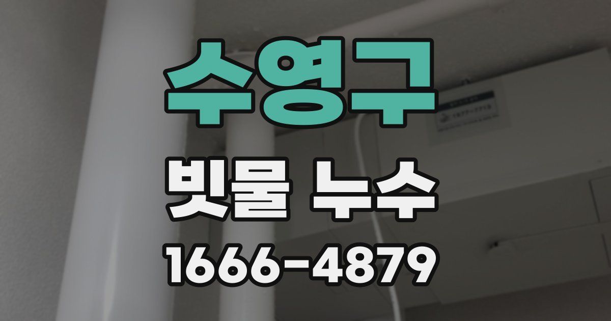 수영구 빗물 누수