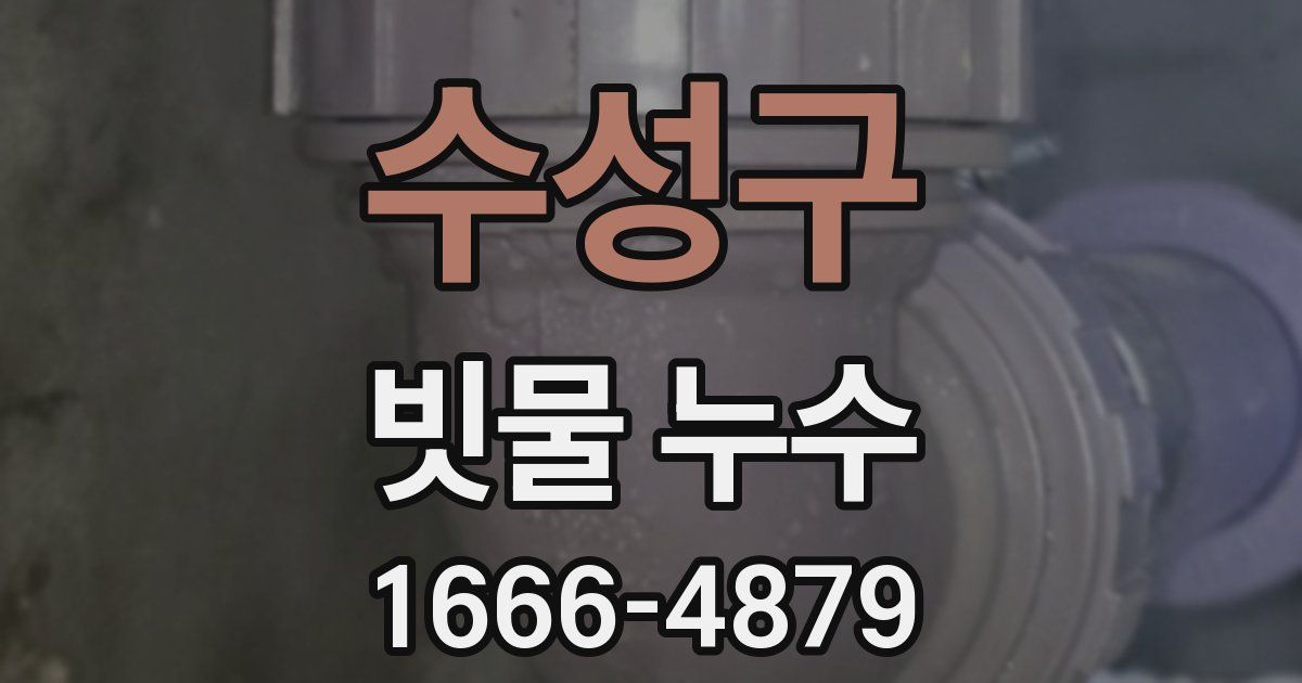 수성구 빗물 누수
