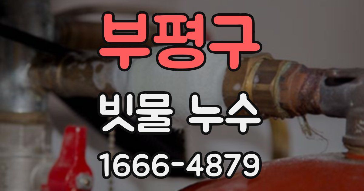 부평구 빗물 누수