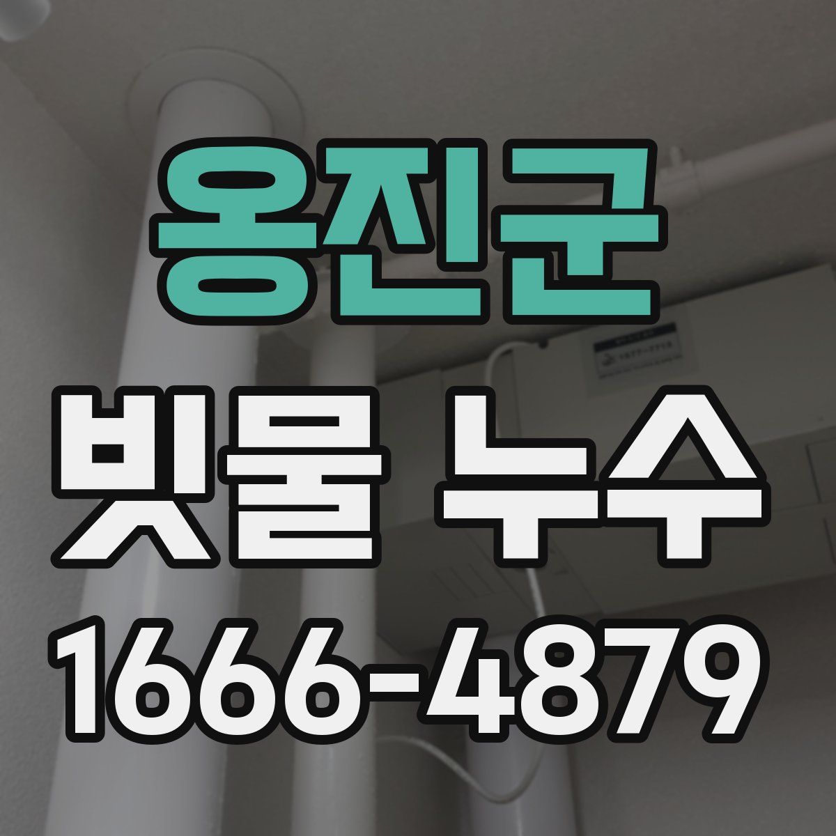옹진군 빗물 누수