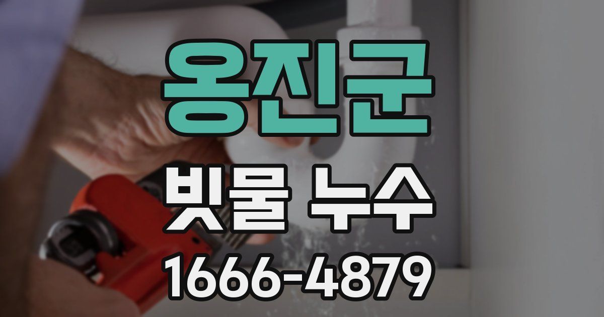 옹진군 빗물 누수