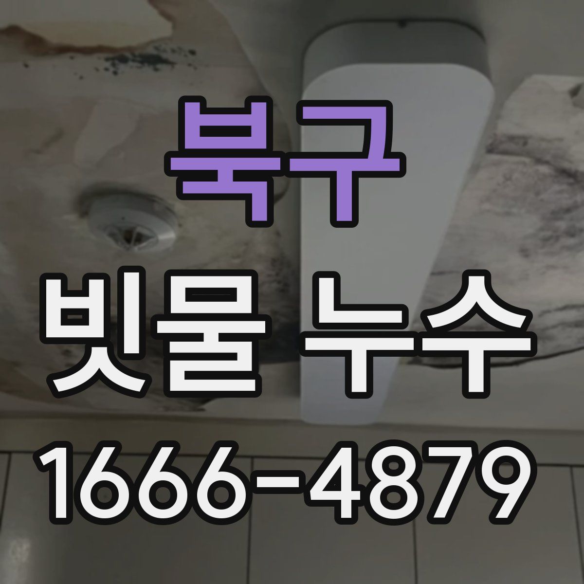 북구 빗물 누수