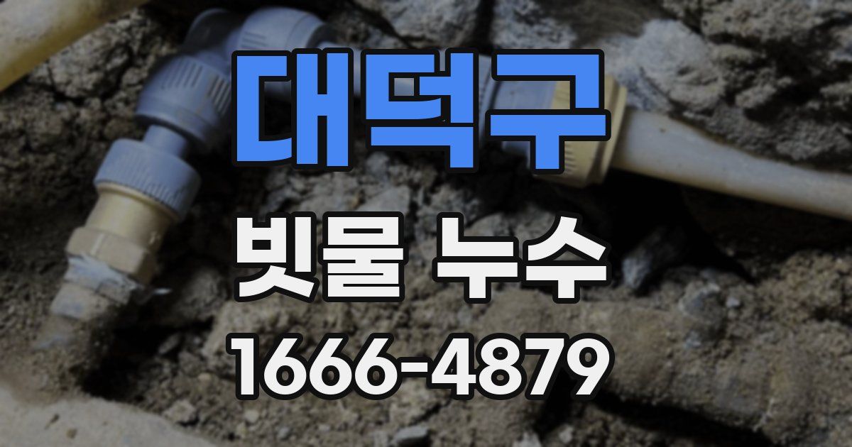 대덕구 빗물 누수