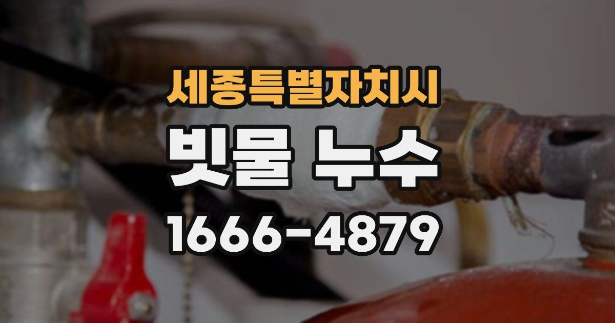 세종특별자치시 빗물 누수
