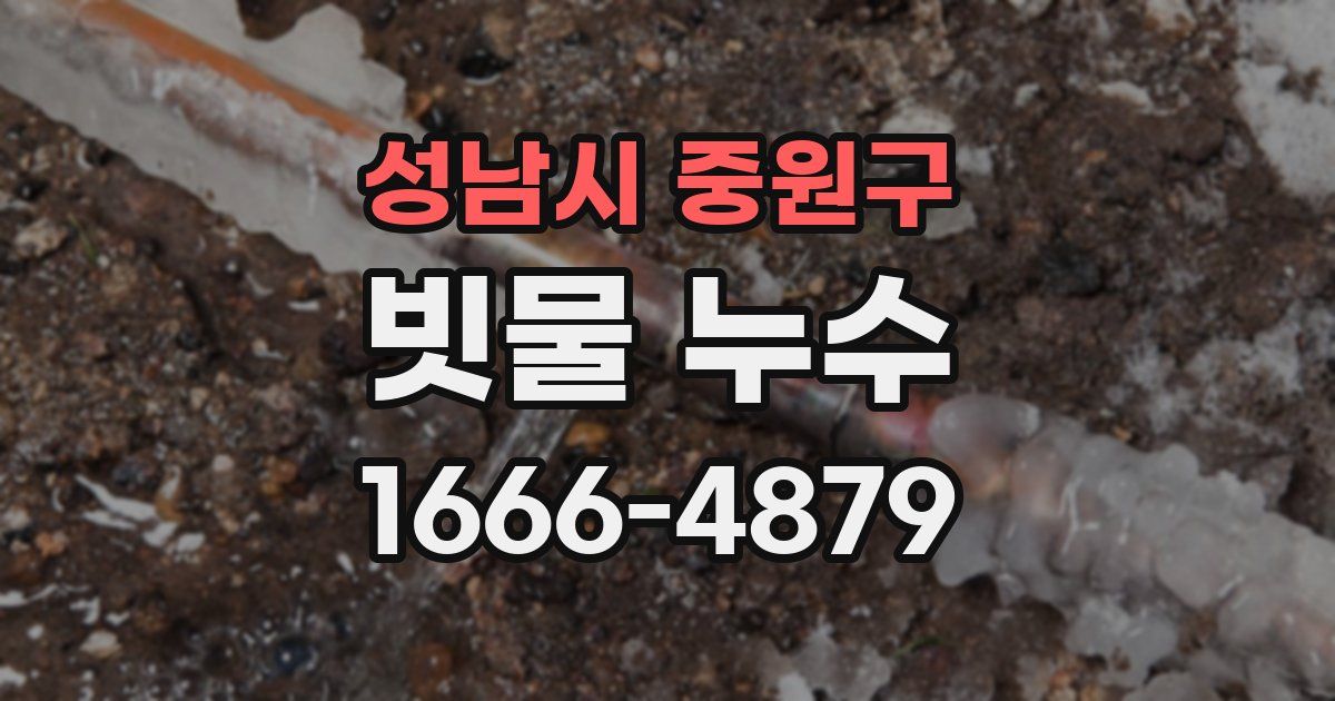 성남시 중원구 빗물 누수