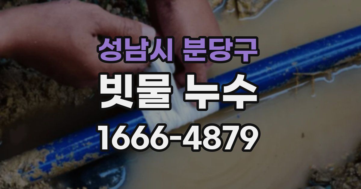 성남시 분당구 빗물 누수