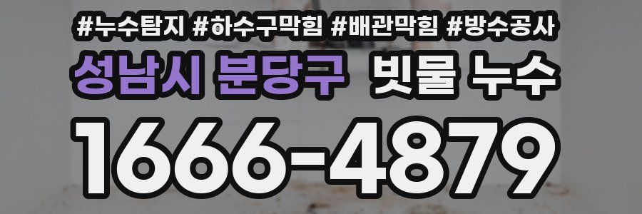 성남시 분당구 빗물 누수