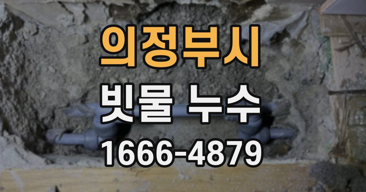 의정부시 빗물 누수