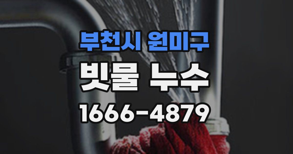 부천시 원미구 빗물 누수