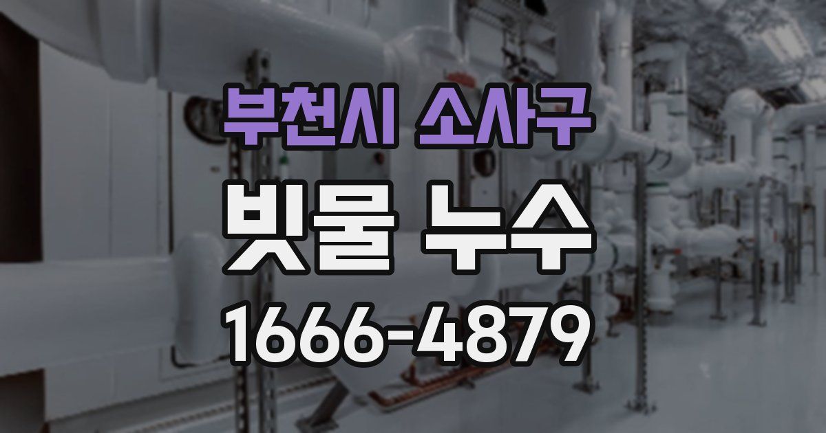 부천시 소사구 빗물 누수