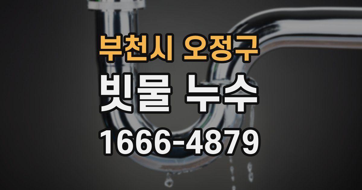 부천시 오정구 빗물 누수