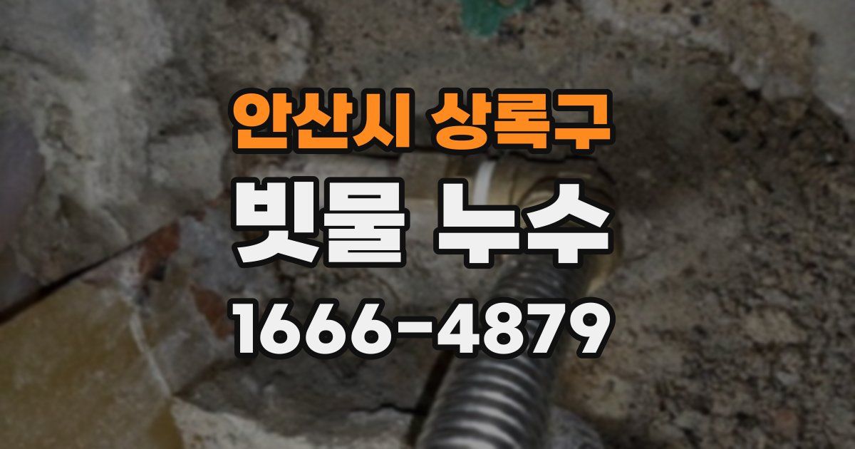 안산시 상록구 빗물 누수