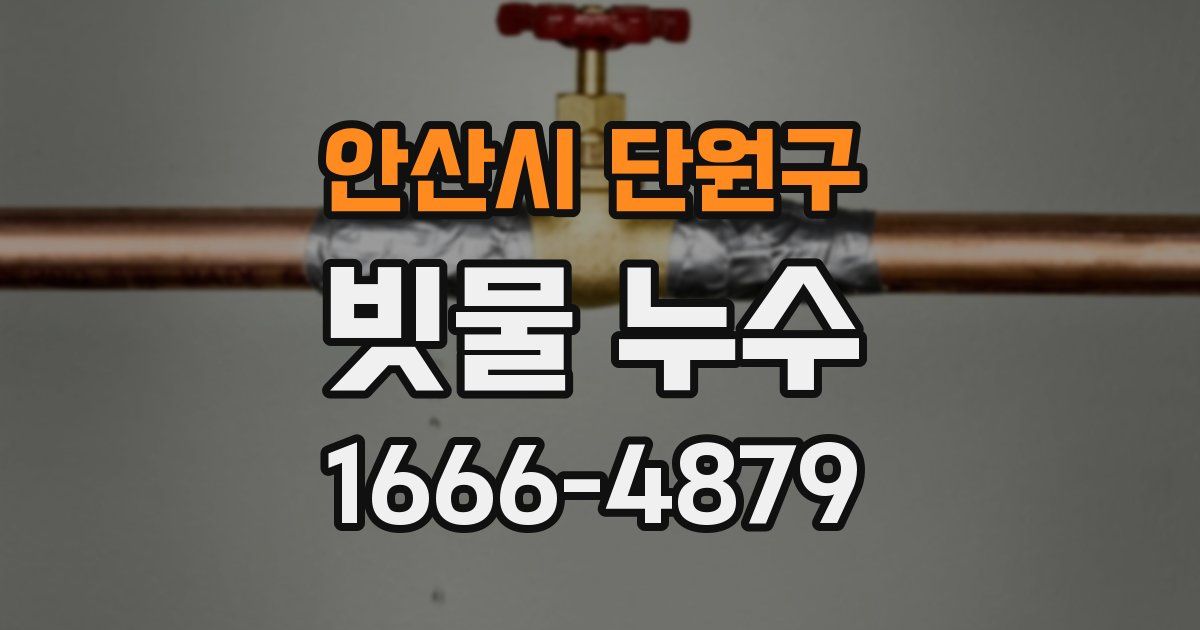 안산시 단원구 빗물 누수