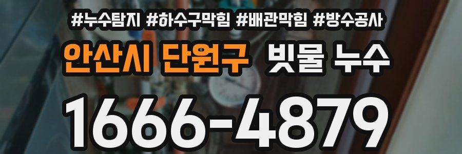 안산시 단원구 빗물 누수