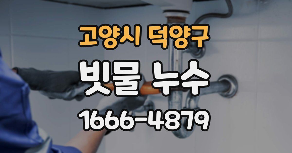 고양시 덕양구 빗물 누수
