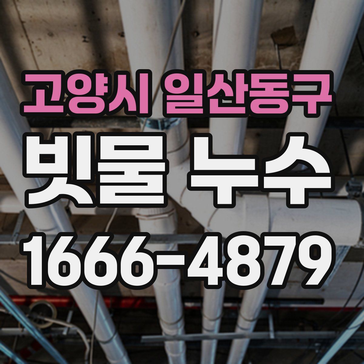 고양시 일산동구 빗물 누수