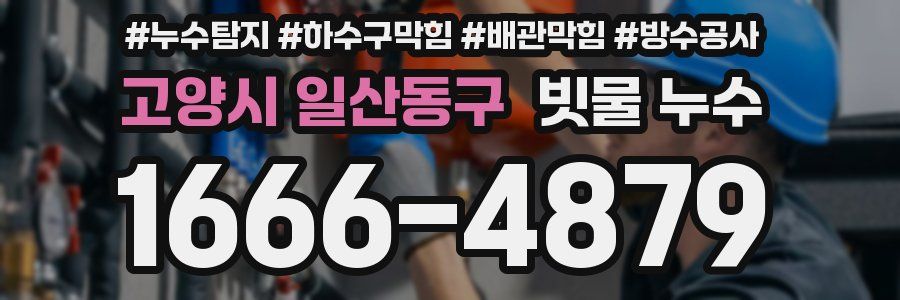 고양시 일산동구 빗물 누수