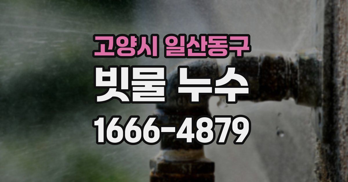 고양시 일산동구 빗물 누수