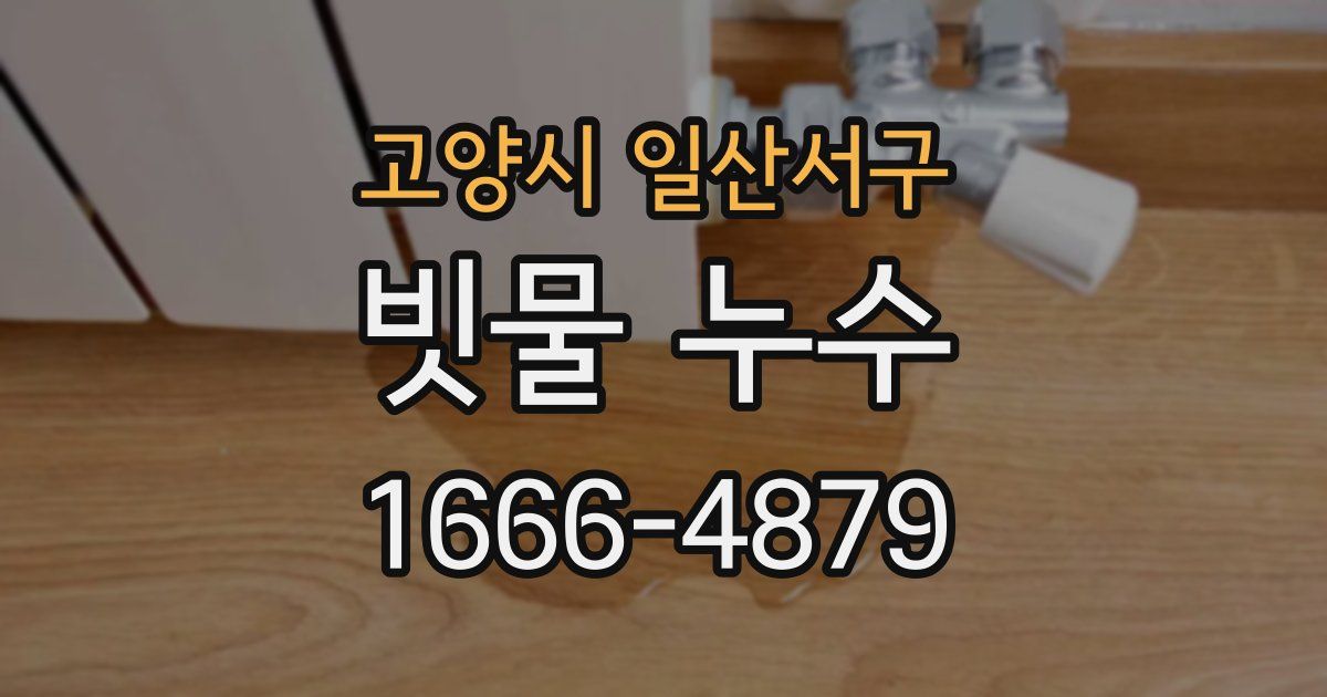 고양시 일산서구 빗물 누수