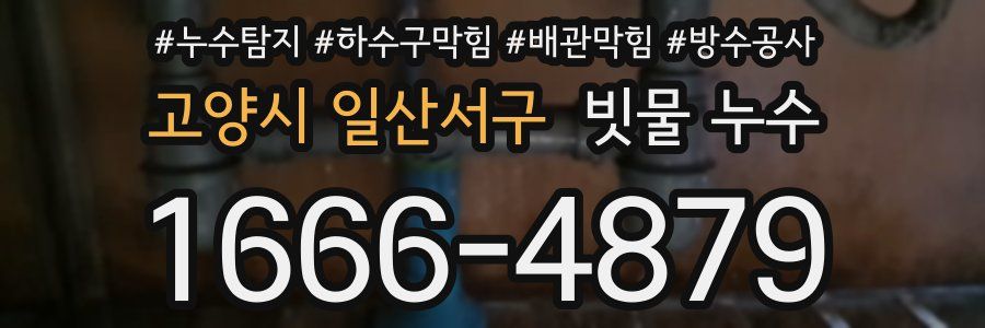 고양시 일산서구 빗물 누수