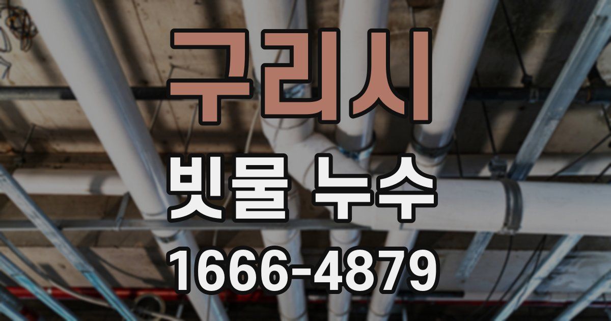 구리시 빗물 누수