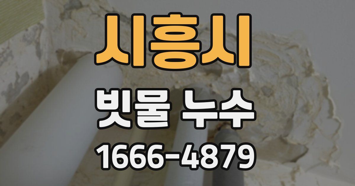 시흥시 빗물 누수