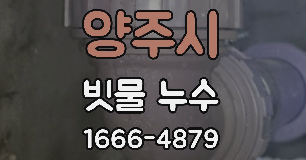 양주시 빗물 누수