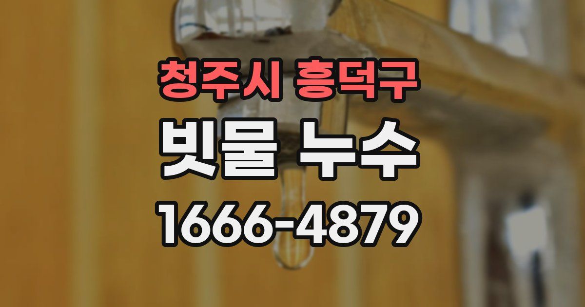 청주시 흥덕구 빗물 누수