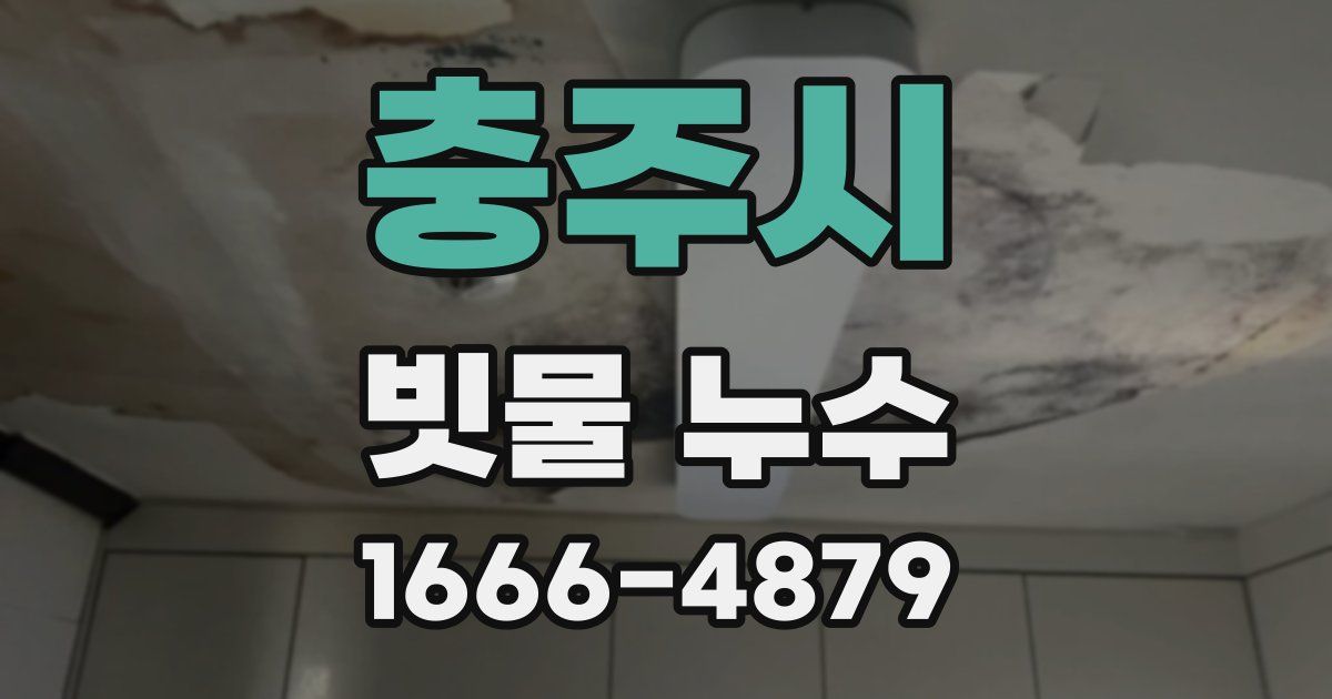 충주시 빗물 누수
