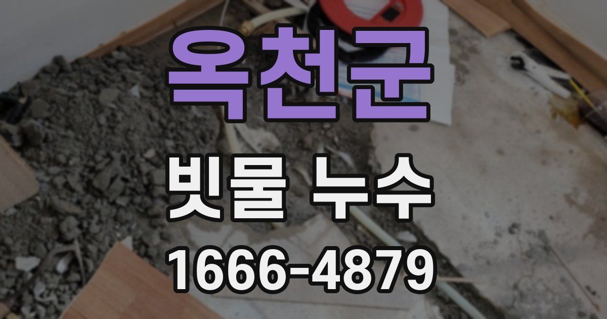 옥천군 빗물 누수