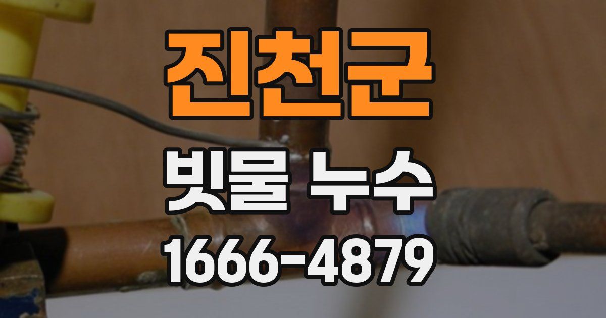 진천군 빗물 누수