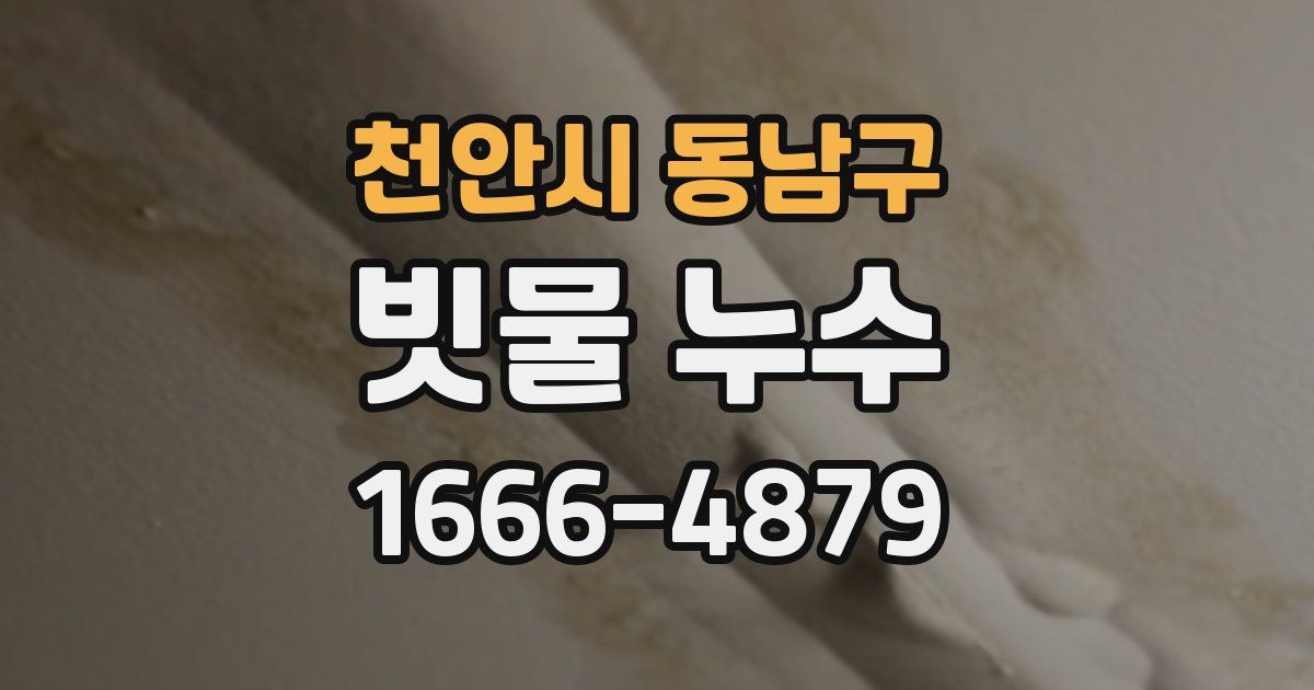 천안시 동남구 빗물 누수