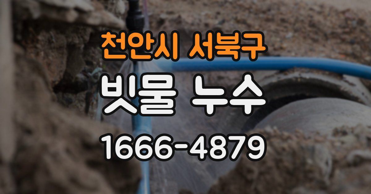 천안시 서북구 빗물 누수