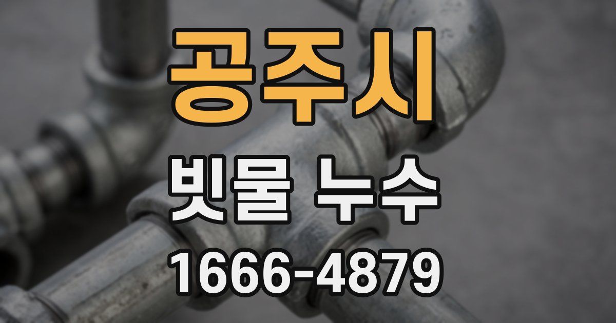 공주시 빗물 누수