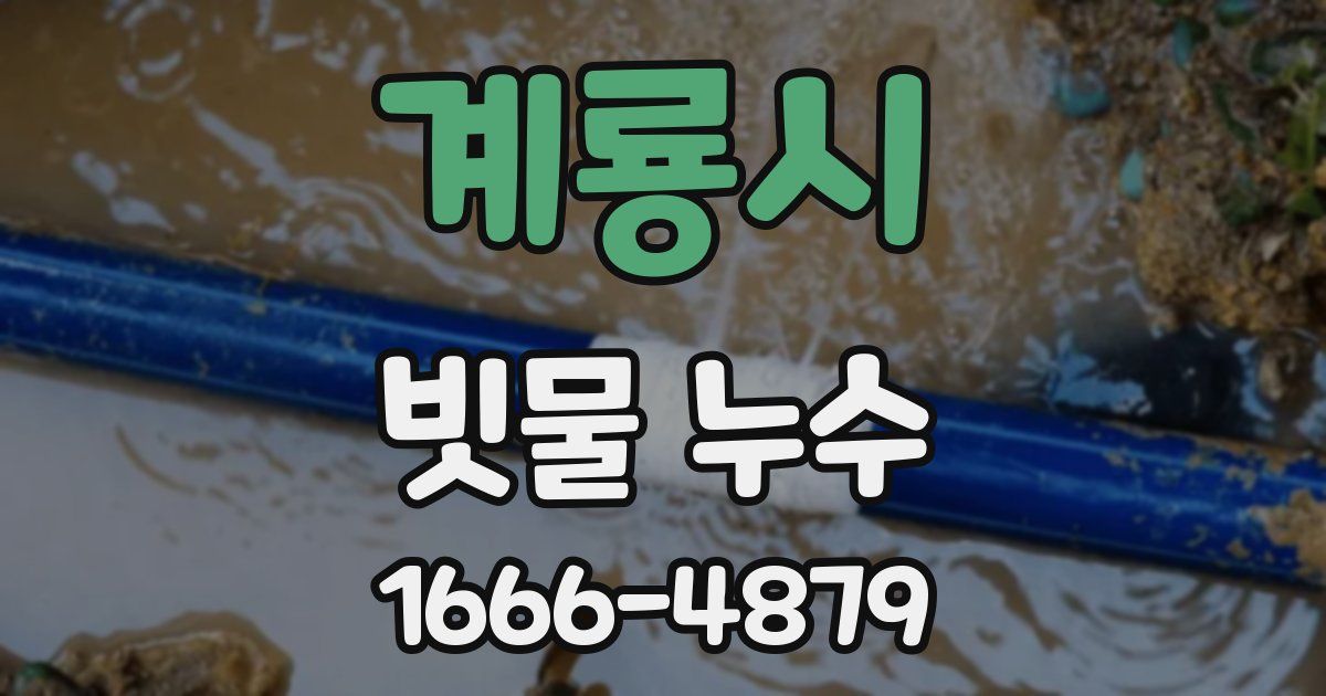 계룡시 빗물 누수