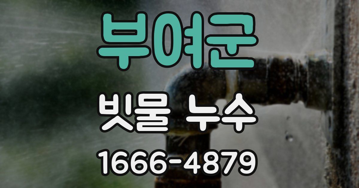 부여군 빗물 누수